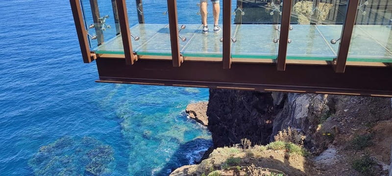 Madeira East Island Tour and Levada Walk - Inside the Laurissilva Forest with a Levada Walk at Ribeiro Frio