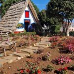 Madeira : East Tour - Santana North Side - Starting the Day at Camacha, the Football Birthplace