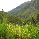Madeira: Enjoy a Guided Levada Walk in the Rabaçal Valley - The Iconic 25 Fontes Waterfalls and Lagoon View