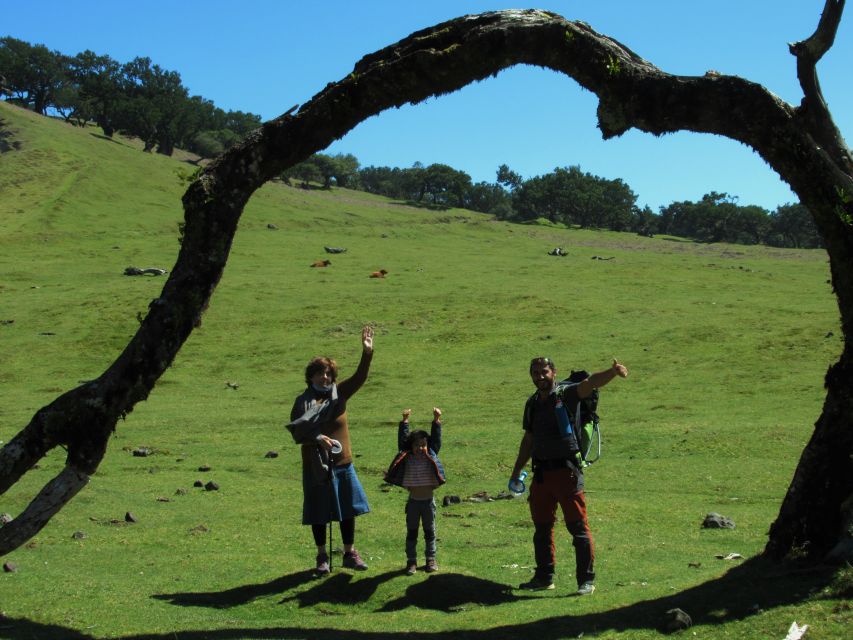 Madeira: Fanal Forest Guided Hiking Tour - Scenic Views and Ancient Trees in Madeira’s Fanal Forest