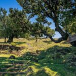 Madeira: Full-Day Porto Moniz Jeep Tour - Exploring Madeira’s Most Beautiful Spots: Porto Moniz and Seixal