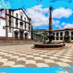 Madeira: Funchal City Historical Tuk Tour Guided by MadTuk - Key Points