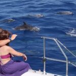 Madeira: Funchal Sunset Tour by Catamaran - Departing from Funchal Marina for a Scenic Sea Voyage