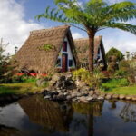 Madeira: Go East Island Tour - Scenic Views from Terreiro da Luta and Ponta do Rosto