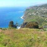 Madeira: Guided Wine Tasting and Scenic Walk - Scenic Vineyards and Terraced Hillsides of Madeira