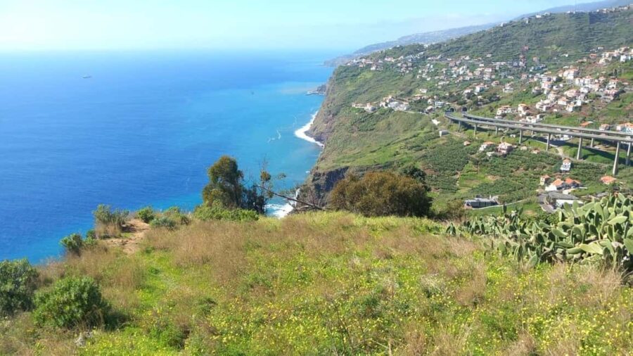 Madeira: Guided Wine Tasting and Scenic Walk - Scenic Vineyards and Terraced Hillsides of Madeira