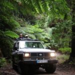 Madeira in one day: Funchal & Eastern Highlights - The Personalized Pickup and Drop-off Service in Funchal