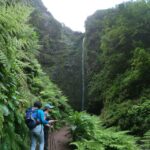 Madeira Island: Caldeirão Verde Levada Walk - The Caldeirão Verde Levada Walk: A Natural Treasure
