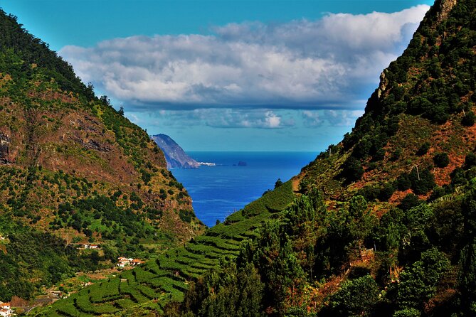 Madeira Island Private Wine Full-day Tour in all terrain vehicle - Cabo Girao Viewpoint and Its Glass-Bottom Platform