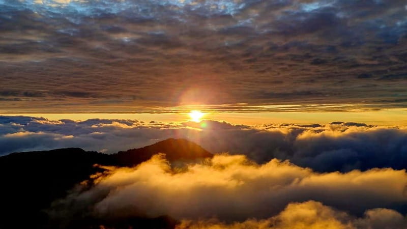 Madeira Jeep Safari Tour with Fanal Forest and Natural Pools - Exploring Fanal Forest and the Serra de Água