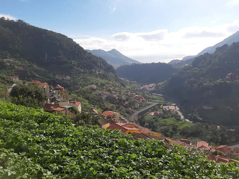 Madeira: Levada dos Maroços Hike - Starting Point and Private Transfers in Madeira