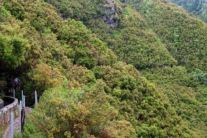 Madeira Levada Walk - Rabacal Lakes and Fountains - From Funchal to Rabaçal: Comfortable Transportation and Meeting Points