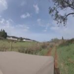 Madeira: Northwest Jeep Tour - Visiting Charming Villages and Natural Waterfalls