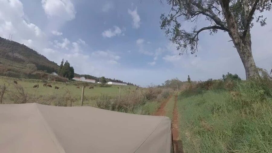 Madeira: Northwest Jeep Tour - Visiting Charming Villages and Natural Waterfalls