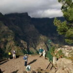 Madeira: Nuns Valley and Câmara de Lobos Half-Day Tour - Visiting Pico dos Barcelos for the Best View of Funchal