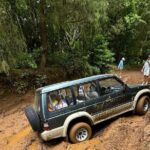 Madeira Off-Road 4x4 Jeep Adventure Private Full day Tour - Off-Road Driving Through Madeira’s Highland Forests