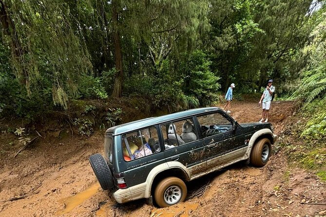 Madeira Off-Road 4x4 Jeep Adventure Private Full day Tour - Off-Road Driving Through Madeira’s Highland Forests