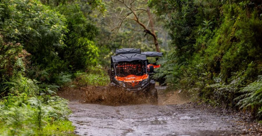 Madeira: OFF-ROAD BUGGY ADVENTURE TO FUNDURAS - Madeira’s Off-Road Buggy Tour Starts at MadTours Adventure