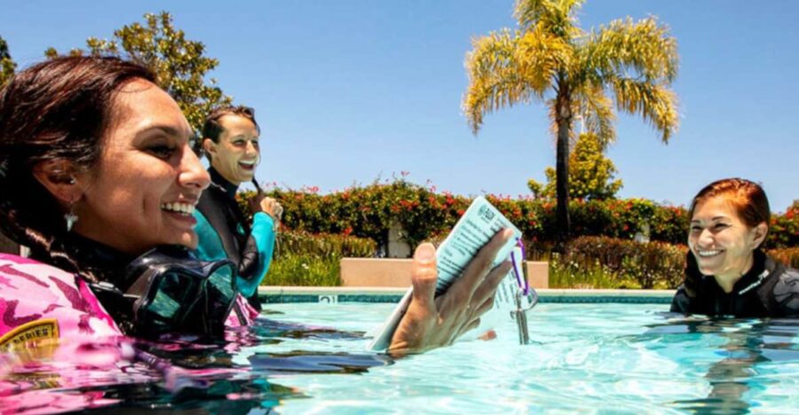 Madeira: Open Water Diver First Certification Course - How the Madeira Open Water Diver Course Fits into Your Schedule