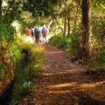 Madeira: Paradise Valley Levada Walk - Discovering Madeira’s Flora and Fauna
