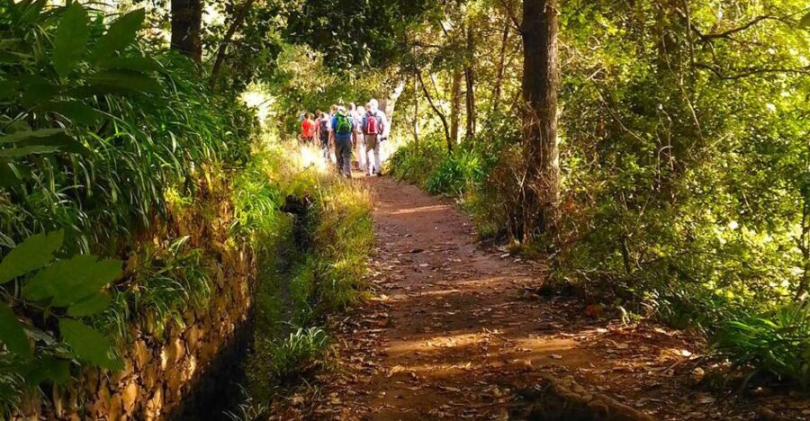Madeira: Paradise Valley Levada Walk - Discovering Madeira’s Flora and Fauna