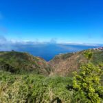 Madeira: Paul do Mar Guided Hike - Unique Flora, Fauna, and Natural Viewpoints