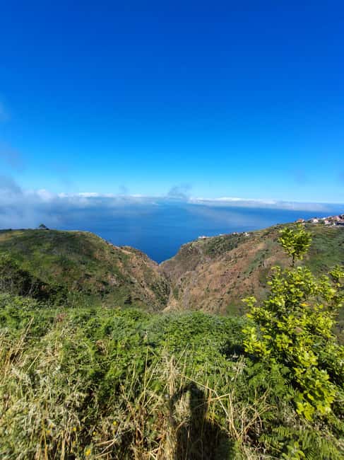Madeira: Paul do Mar Guided Hike - Unique Flora, Fauna, and Natural Viewpoints