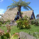 Madeira: Pico do Arieiro & Laurissilva Forest - East tour - Exploring Pico do Arieiro’s Majestic Views