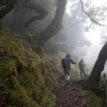 Madeira: PR 9 - Levada do Caldeirão Verde Hike Transfer - The Starting Point at Pico das Pedras in Santana