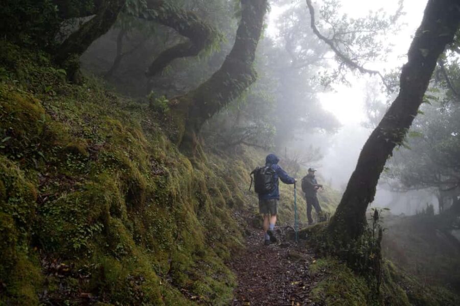 Madeira: PR 9 - Levada do Caldeirão Verde Hike Transfer - The Starting Point at Pico das Pedras in Santana