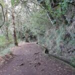 Madeira: Private 1.5-Kilometer Levada dos Balcões Hike PR11 - Wildlife and Birdwatching Opportunities
