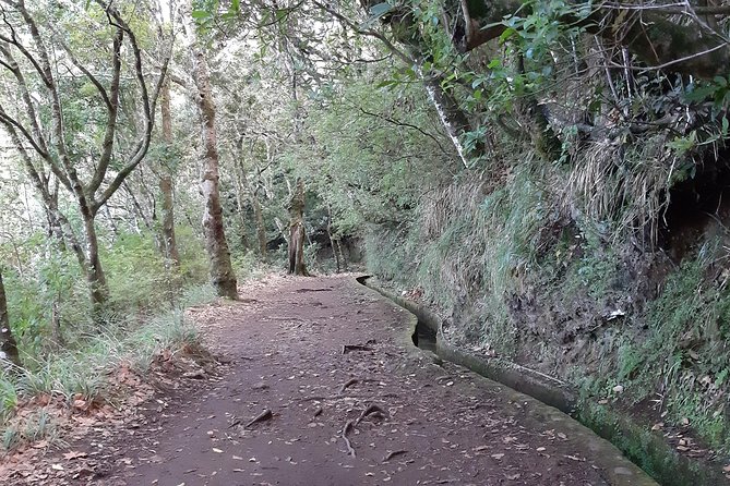 Madeira: Private 1.5-Kilometer Levada dos Balcões Hike PR11 - Wildlife and Birdwatching Opportunities