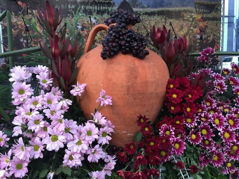 Madeira Private 4-Seater Mercedes VIP - Tailor-Made Itineraries Covering Madeiras Distinct Regions