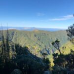 Madeira: Private Guided Walk Vereda Fanal PR13 - Exploring Paul da Serras Diverse Terrain