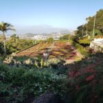 Madeira: Private Half-Day Guided Gardens Tour - Overview of the Madeira Garden Experience
