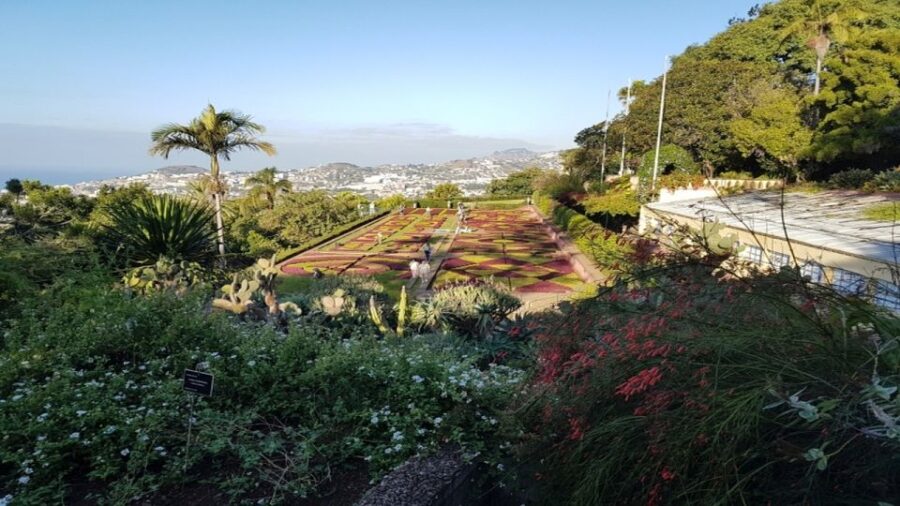 Madeira: Private Half-Day Guided Gardens Tour - Overview of the Madeira Garden Experience
