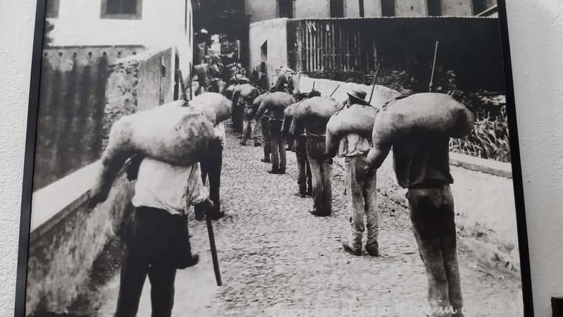 Madeira: Private Weekend Wine Tasting in São Vicente - Scenic Journey to São Vicentes Vineyards and Views