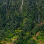 Madeira: Rabaçal Private Guided Walking Tour with Guide - Rabaçal: A Natural Wonderland in Madeira