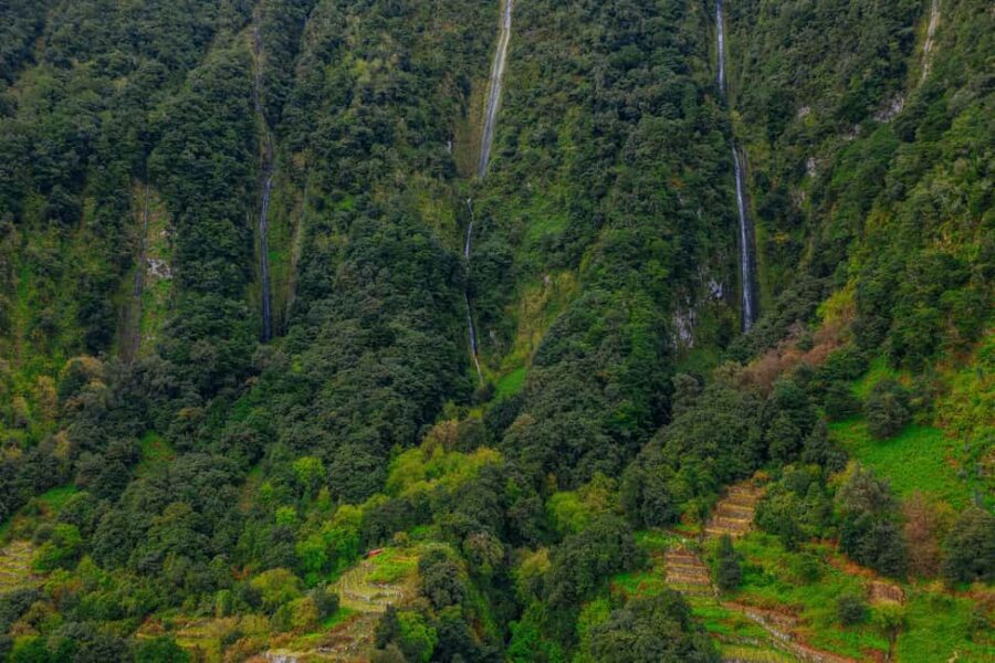 Madeira: Rabaçal Private Guided Walking Tour with Guide - Rabaçal: A Natural Wonderland in Madeira