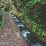 Madeira: Rabaçal Valley and the 25 Fountains Hike - Madeira’s Rabaçal Valley and 25 Fountains: An Overview of the Trail