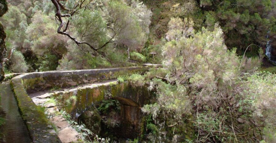 Madeira: Rabaçal Valleys 3-Hour Guided Walk - Exploring Madeira’s Laurisilva Forest and Waterfalls