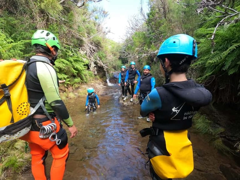 Madeira : Ribeira das Cales Canyoning (Level 1) - The Scenic Route of Ribeira das Cales Canyoning