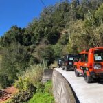 Madeira Safari - East of the island - Exploring Santana and Its Traditional Houses