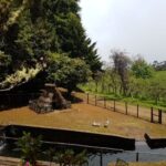 Madeira: Santana Traditional Houses Private Half-Day Tour - Exploring Queimadas Natural Park and Laurissilva Forest