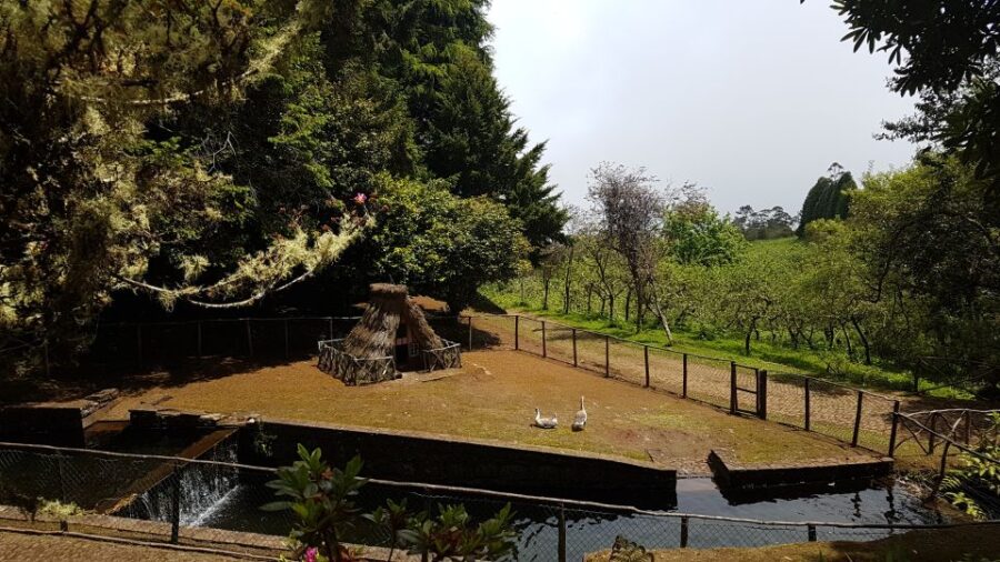 Madeira: Santana Traditional Houses Private Half-Day Tour - Exploring Queimadas Natural Park and Laurissilva Forest