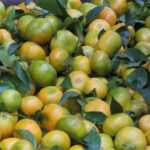 Madeira : Santo de Serra Local Farmers' Market half day trip - Santo da Serra Farmers’ Market: A Local Shopping Hub