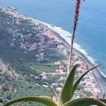 Madeira: Self-Driven Half-Day Motorcycle Tour with a Guide - Starting Point at Madeira Friendly Guide and Optional Pickup