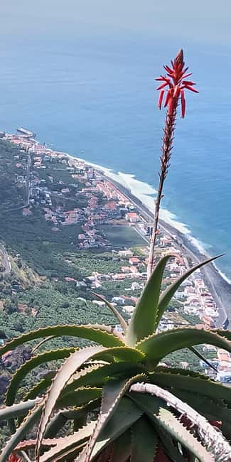 Madeira: Self-Driven Half-Day Motorcycle Tour with a Guide - Starting Point at Madeira Friendly Guide and Optional Pickup
