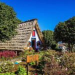 Madeira: Sightseeing Tour - Starting the Day at the Cristo Rei Viewpoint with Coastal Views