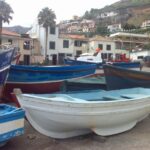 Madeira South West: Half Day Private Tour - Discovering the Charm of Câmara de Lobos and Its Fishing Heritage